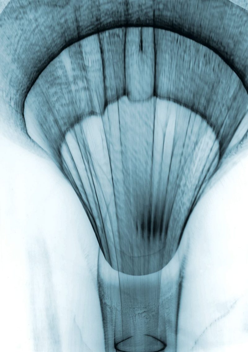 HomeScience-key image 1_Maturation