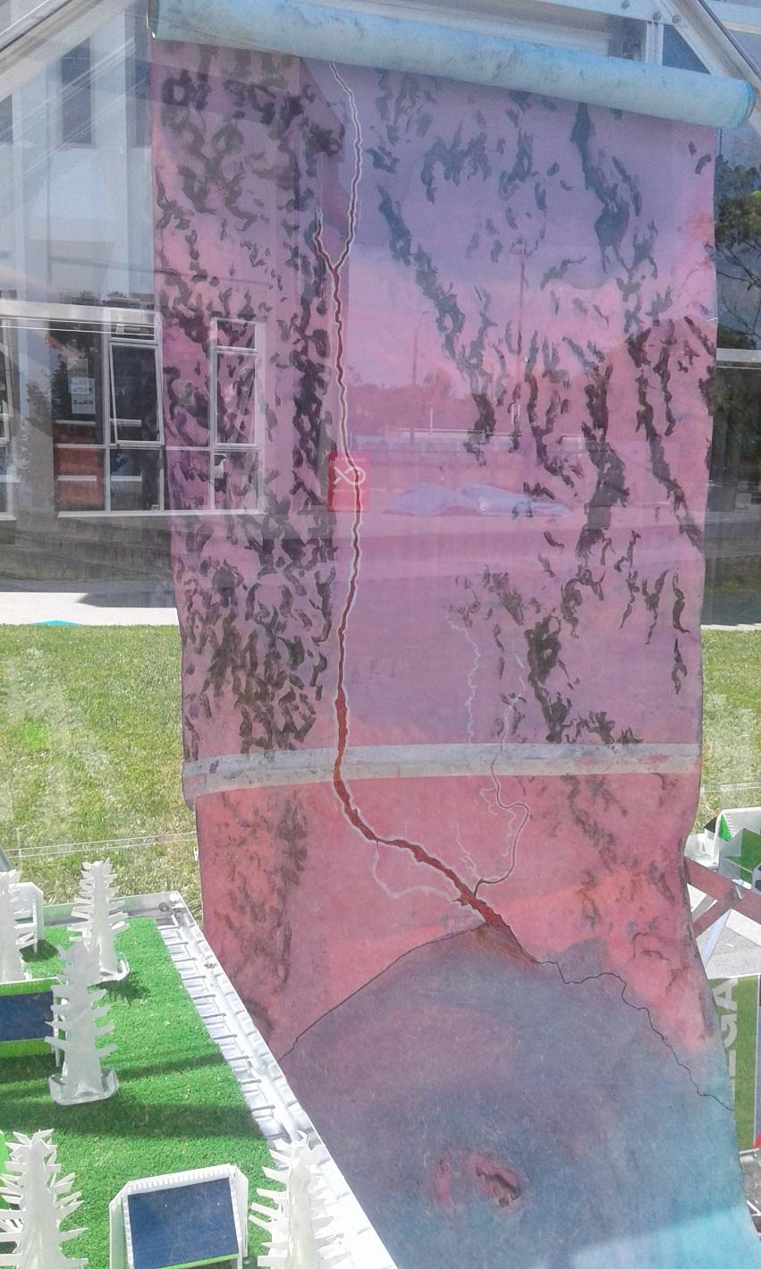 image12